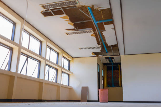 Best 24/7 water damage repair  in Harmony, PA