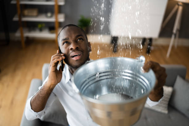 Best Commercial water damage restoration  in Harmony, PA