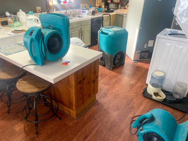 Best Mold removal after water damage  in Harmony, PA