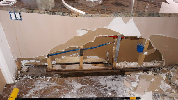 Best Water damage restoration near me  in Harmony, PA