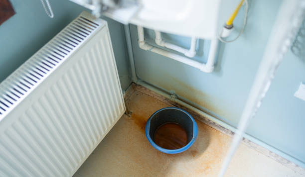 Best Basement water damage restoration  in Harmony, PA