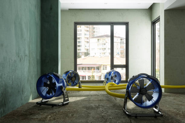 Best Basement water damage restoration  in Harmony, PA
